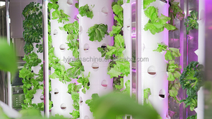 Conteneur de culture hydroponique intelligent de 20 pieds, système de culture vertical en conteneurs, systèmes de culture hydroponique pour légumes - Product Image 3