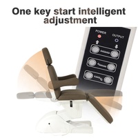 Nouveau Lit de Massage Moderne Réglable Marron Électrique pour Technicienne de Cils, Lit de Clinique Esthétique, Meuble de Salon de Beauté 190*83*66cm