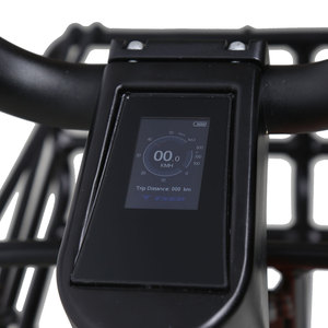 TXED-<span class=keywords><strong>Vélo</strong></span> <span class=keywords><strong>cargo</strong></span> électrique partagé, avec moteur arrière de 36V, 300W, avec système IOT, pour entreprise de livraison et personnel - Product Image 4