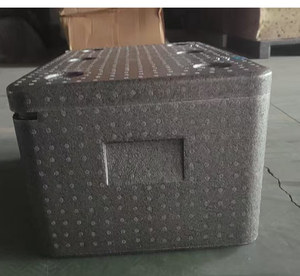 Caja Térmica de Polipropileno Expandido (EPP) Personalizada DFS01 34L, Caja de Almacenamiento Rectangular de Gran Capacidad para Alimentos Frescos, para Refrigeración - Product Image 5