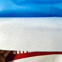 Sac tissé en polypropylène laminé en papier kraft, résistant, capacité 50 kg, 25 kg, 20 kg, avec doublure intérieure en plastique PE
