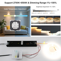 Driver LED dimmable PWM Triac 0-10V 150W 100W 200W 300W Haute puissance de qualité commerciale pour systèmes d'éclairage LED à bande CCT intérieure