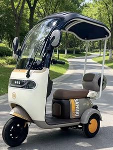 Tricycle électrique fermé à 3 roues avec auvent, moteur sans balais 650W, vitesse maximale 45 km/h, certifié CE - Product Image 1