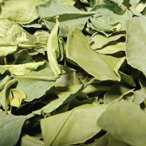 Feuilles de lime kaffir séchées standard d'exportation de l'approvisionnement en vrac du Vietnam - Product Image 1