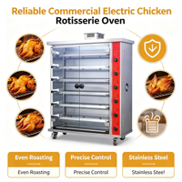 Four à canard rôti robuste pour une utilisation commerciale longue durée et continue
