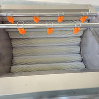 Hoge kwaliteit aardappel- en taro-was- en schilmachine, multifunctionele borstelrol fruit- en groentewasser en -schiller