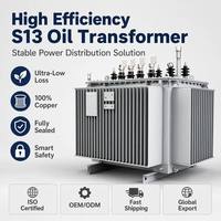 Transformateur immergé dans l'huile triphasé de qualité industrielle Wanbo-267 S13 10kV 100kVA à enroulement en cuivre, prix usine
