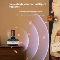 Diffuseur d'ambiance sans eau rechargeable USB pour huiles essentielles et désodorisant