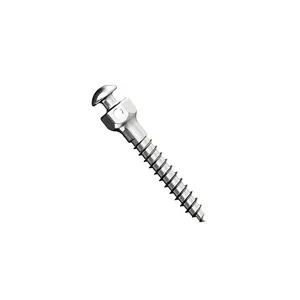 Tornillo de titanio mini implante tornillo de ortodoncia para accesorios médicos Dental Endosseous