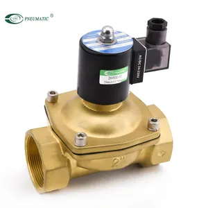 2W(UW) الري الملف اللولبي صمام عادة مفتوحة 12V 24V النحاس صمام الغاز والمياه valvula solenoide