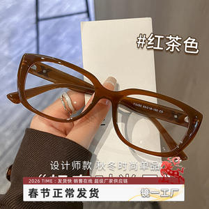 Monture de lunettes anti-lumière bleue œil de chat tendance pour femmes 8050 TR90, monture complète, origine Danyang - Product Image 4