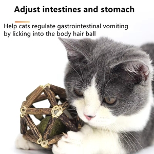 Fabrika Toptan Doğal Gümüş Asma Kediotu Topu Diş Temizleme Molar Çiğneme Oyuncağı İnteraktif Zil Topu İç Mekan Yavru Kedi Oyuncağı - Product Image 3