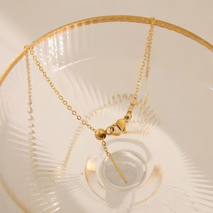 Caja ajustable de acero inoxidable, collar con acabado de cadena O de serpiente con tapón de goma, collar con cabeza de aguja - Product Image 5