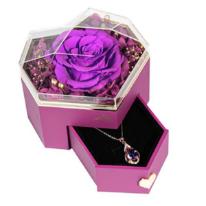 Bán Buôn Tình Yêu Mới Vĩnh Cửu Nhà Máy Bên Trong Giáng Sinh Và Valentine Của Ngày Quà Tặng Hộp Vật Liệu Nhà Máy Cho Tất Cả Các Dịp - Product Image 1