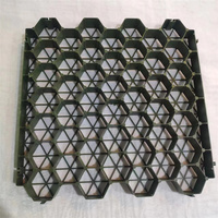 Alfombrilla de plástico para césped, esterilla de plástico para entrada de piedra, alfombrillas de suelo HDPE, rejillas para pavimentadora de césped, rejilla para plantación de jardín