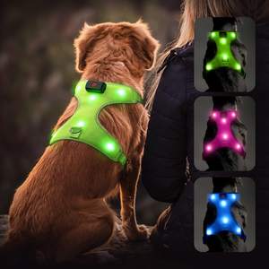 Arnés LED Flashseen para perros iluminado, arnés recargable por USB para mascotas, chaleco reflectante iluminado para perros que brilla intensamente - Product Image 4