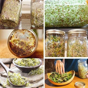 Bán Chạy Nhất Đồ Dùng Nhà Bếp 2 Gói Lọ Mason Miệng Rộng Hoàn Chỉnh Lớn Bộ Dụng Cụ Nảy Mầm Hạt Có Nắp Đậy - Product Image 6