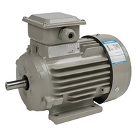 Motor de Inducción Asíncrono Trifásico Siemens Innomotics IEC 50/60Hz CA, 3000 rpm, Montaje en Pedestal, 0.37KW-355KW, Venta Directa de Fábrica