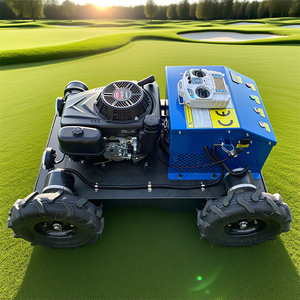 A buon mercato, - Product Image 5