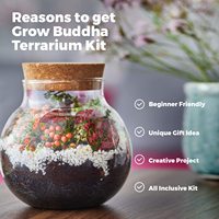 Kit de démarrage de terrarium de bouddha moderne plantes succulentes et plantes en verre géométriques pour la maison ou le jardin