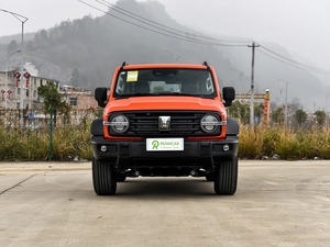 Nuevo Auto GWM 300 Crossover, Marca China, SUV Todoterreno de Alto Rendimiento, Versión Gasolina 4x4, Modelo de Exportación - Product Image 2
