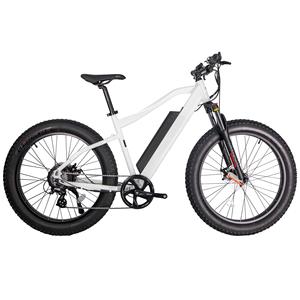 Bicicleta Eléctrica OEM Económica con Llantas Anchas, Motor Trasero de 250W 500W 750W, Gran Potencia, Pantalla LCD, Personalizable - Product Image 3