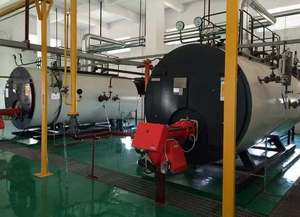 דוד קיטור תעשייתי דו-דלקי 1-20 טון לשעה עם שירות מעולה ומחיר נמוך - Product Image 3