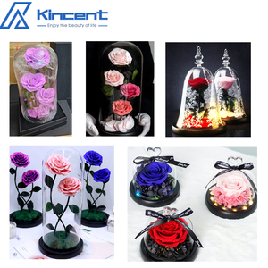 Regalos para el Día <span class=keywords><strong>de</strong></span> San Valentín 2025, <span class=keywords><strong>Rosa</strong></span> Eterna Real en Cúpula <span class=keywords><strong>de</strong></span> <span class=keywords><strong>Cristal</strong></span>, Flores <span class=keywords><strong>de</strong></span> Amor Eterno, Regalos para el Día <span class=keywords><strong>de</strong></span> la Madre <span class=keywords><strong>con</strong></span> Caja - Product Image 2