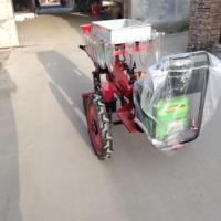 Semoir à légumes/tomates/piments/oignons à 1-3 rangs, transplanteur de semis de légumes, machine à transplanter les semis de légumes
