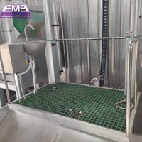 Abattoir à porcs professionnel à petite échelle automatique 10-50, équipement d'abattage avec moteur, ligne d'abattage de porcs
