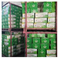 Optimale Verse Knoflook Ajo Chinese Knoflook Export Knoflook Marktprijs 10Kg/Carton