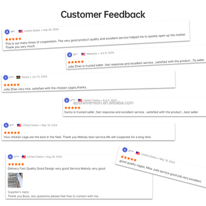 Trứng Chăn Nuôi Gà Hai Lớp Một Loại 4 Tier 2000 Chim Pin Lồng Cho Bán Gia Cầm Trang Trại Đẻ Gà Tự Động Algeria - Product Image 4