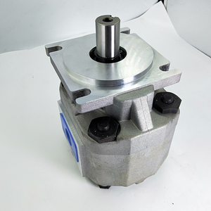 <span class=keywords><strong>Pompe</strong></span> à engrenages hydraulique à débit constant CBW-F314-ALP CBW-F325-ALP CBW-F304-ALP CBW-F325 CBW-F314 - Product Image 5