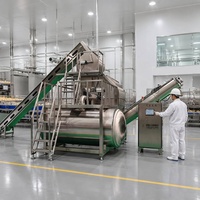 Automatische stoomschilmachine voor de verwerking van aardappelen, wortelen en gember |   Industriële groenteschiller met hoge capaciteit