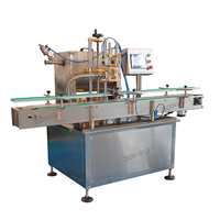 Machine de remplissage de pompe à piston de bouteille de gommage corporel de mayonnaise de Kechup de matériau visqueux et machine de capsulage