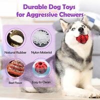 Pawise personnalisé indestructible chien jouets chien en peluche coton corde jouet à mâcher cache-cache en caoutchouc jouets à mâcher pour mâcheurs agressifs