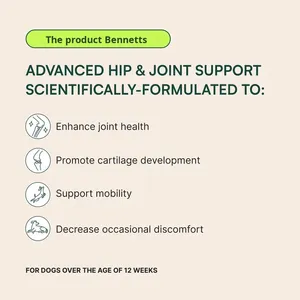 Felyon Advanced Hip & Joint Support Dog Granules-Protein Tinggi Melindungi & Memperbaiki Mengurangi Nyeri & Peradangan - Product Image 2