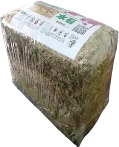 Wholesale Potted Flowers And Succulent Cultivation Medium Sphagnum Moss Dried Sphagnum Moss