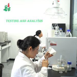 Yếu tố nhận thức cốt lõi Alpha gpc cho hiệu suất tinh thần pha trộn <span class=keywords><strong>b</strong></span>ột rắn Trắng tinh khiết 99.5% CAS 28319 fuertu - Product Image 4