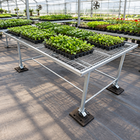 Banc de jardinage mobile à un seul niveau, table de pépinière en treillis métallique, serre compacte multi-usages avec cadre galvanisé