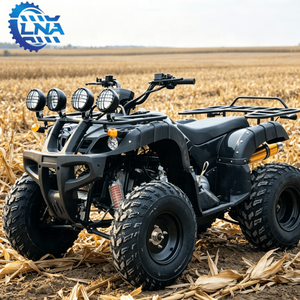 Cuatrimotos LNA a <span class=keywords><strong>Precio</strong></span> Accesible, Motor de Gasolina de 250cc, para Turismo y Negocios - Product Image 2