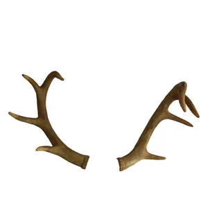 Polyresin Antler Decor