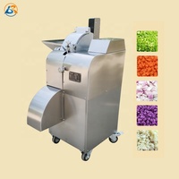 Professionele Groente Fruit Ui Chopper Radijs Kokos Aloë Vera Kubus Mango Komkommer En Chinese Kool Snijmachine