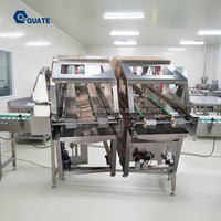 Machine de pulvérisation d'huile liquide pour gâteaux, biscuits et snacks, machine de pulvérisation de glaçage au sucre pour aliments