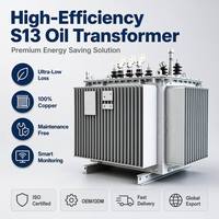 Transformateur de distribution d'énergie triphasé immergé dans l'huile Wanbo-265 à économie d'énergie S13 10kV 100kVA à enroulement en cuivre