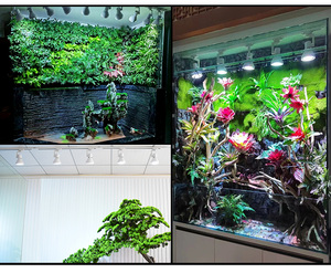 <span class=keywords><strong>Ampoule</strong></span> <span class=keywords><strong>LED</strong></span> à spectre complet WEEK AQUA Y30SE <span class=keywords><strong>pour</strong></span> la croissance des plantes d'<span class=keywords><strong>aquarium</strong></span>, <span class=keywords><strong>pour</strong></span> terrarium de forêt tropicale, paludarium, aquascape - Product Image 2