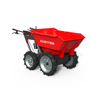 Catalogo Minidumper 4x4 con <span class=keywords><strong>Motore</strong></span> a Benzina da 5.5 CV e Capacità di Carico di 250 KG - Product Image 3