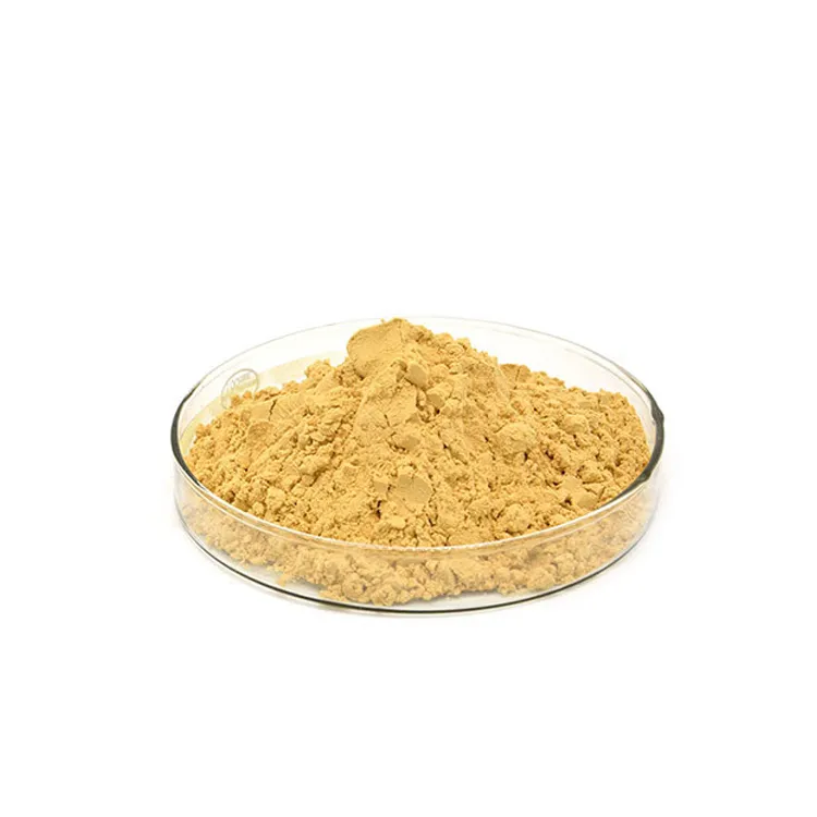 Organic Citrus Lemon fruit extract powder food grade pure 99% Lemon fruit Powder