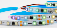 Bande LED flexible en cuivre SPI DC24V avec circuit intégré WS2818 5050 30/60/144 LEDs/M RGB, double signal, adressable indépendamment, IP65, Wi-Fi