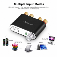 Amplificateur numérique 100W HiFi Mini TPA3116 BT 2.0 récepteur audio stéréo avec USB DAC amplificateur de son TV linéaire